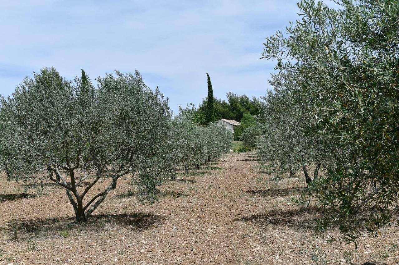 Le Mas Des Genets Saint-Rémy-de-Provence Dış mekan fotoğraf